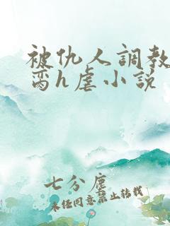 被仇人调教成禁脔h虐小说