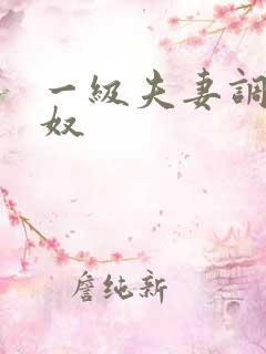 一级夫妻调教男奴