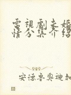 电视剧未婚妻剧情分集介绍