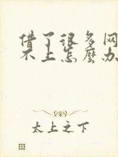 借了很多网贷还不上怎么办