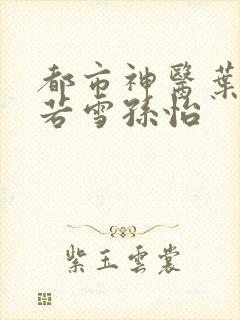 都市神医叶辰夏若雪孙怡