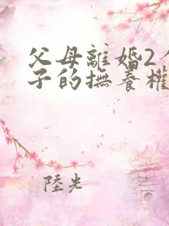 父母离婚2个孩子的抚养权怎么判定