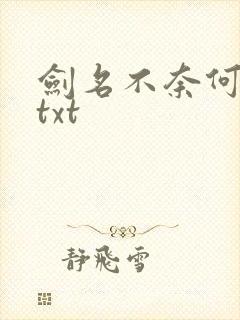 剑名不奈何小说txt