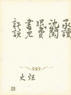 许书眠沈承泽小说免费阅读最新章节