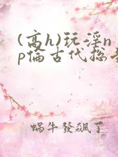 (高h)玩淫np伦古代总受