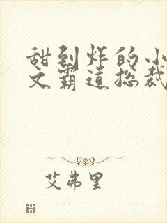 甜到炸的小说宠文霸道总裁