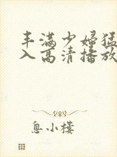 丰满少妇猛烈进入高清播放