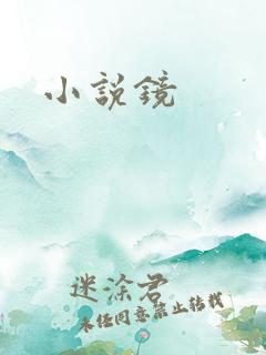 小说镜