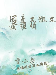 国产又粗又爽的黄视频