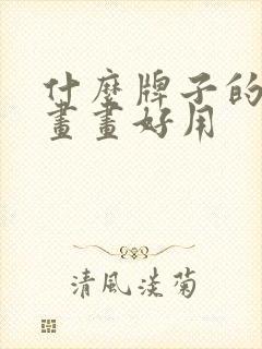 什么牌子的平板画画好用