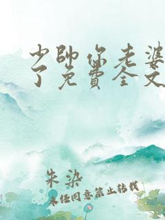 少帅你老婆又跑了免费全文阅读