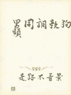 男同调教狗奴视频