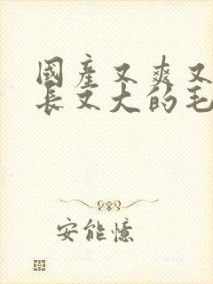 国产又爽又粗又长又大的毛片