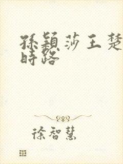 孙颖莎王楚钦来时路