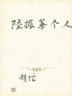 陆振华个人简介