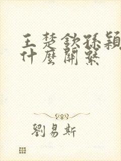 王楚钦孙颖莎是什么关系