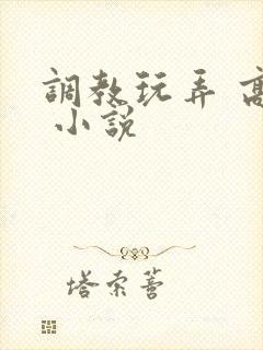 调教玩弄 高潮 小说