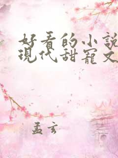 好看的小说言情现代甜宠文