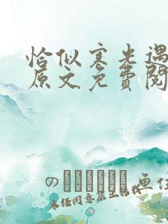 恰似寒光遇骄阳原文免费阅读