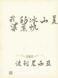 我的冰山美女老婆叶帆