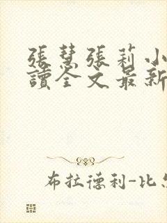 张慧张莉小说阅读全文最新章节