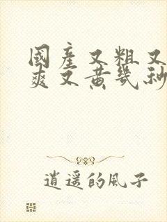 国产又粗又猛又爽又黄几秒视频