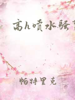 高h喷水骚货