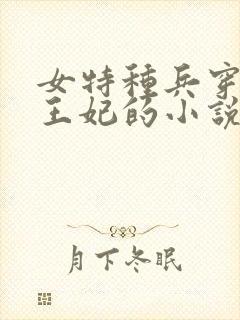 女特种兵穿越成王妃的小说