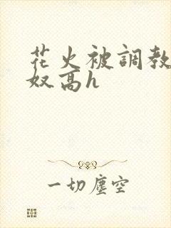 花火被调教成肉奴高h