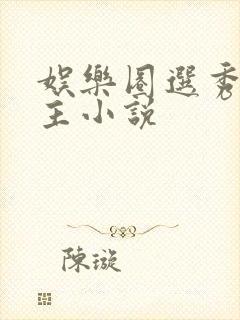 娱乐圈选秀双男主小说