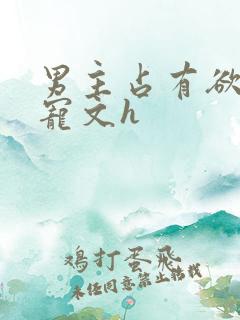 男主占有欲强肉宠文h