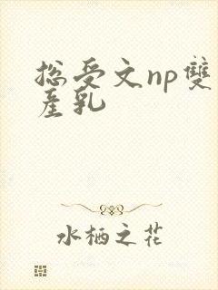 总受文np双性产乳