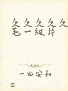 久久久久久久无毛一级片