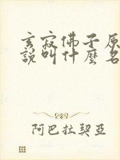 玄寂佛子原著小说叫什么名字