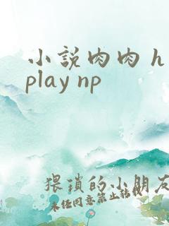 小说肉肉 h play np