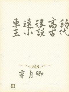 车速很高的双男主小说古代