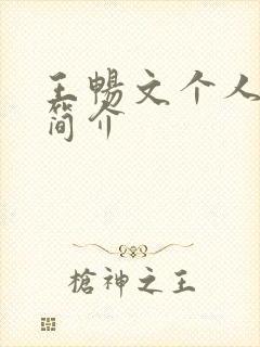 王畅文个人资料简介