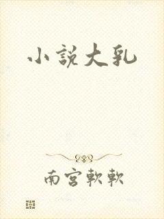 小说大乳