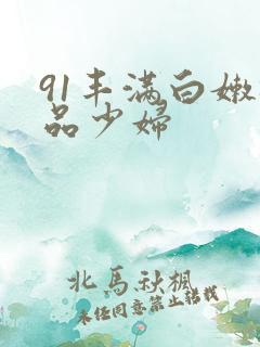 91丰满白嫩极品少妇