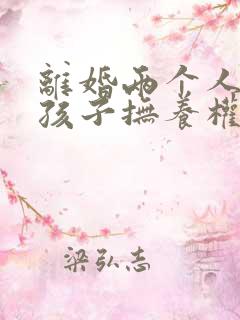 离婚两个人都要孩子抚养权怎么办