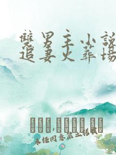 双男主小说推荐追妻火葬场