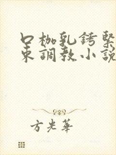 口枷乳铐紧缚拘束调教小说