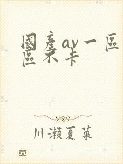 国产av一区二区不卡