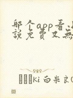 哪个app看小说免费又无广告