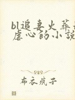 bl追妻火葬场虐心的小说