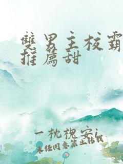 双男主校霸小说推荐甜