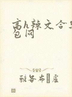 高h辣文合集书包网