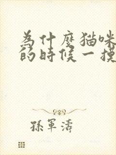 为什么猫咪踩奶的时候一摸它就叫