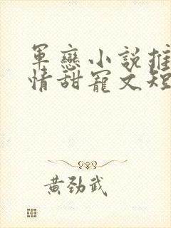 军恋小说推荐言情甜宠文短篇小说