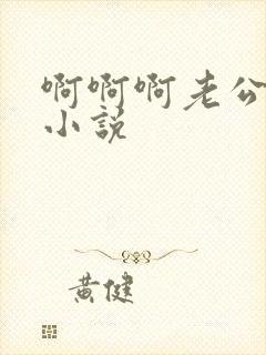 啊啊啊老公快点小说